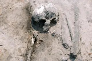 Bronze Age skeletal remains analyzed to study ancient diets in Poland