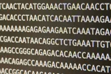 Cancer triggering L1 jumping DNA sequences displayed on a computer