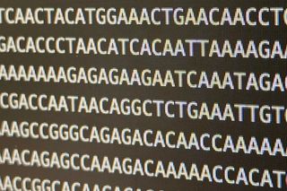 Cancer triggering L1 jumping DNA sequences displayed on a computer