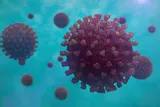 COVID-19 virus illustration