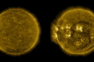 Two periods of the sun: recent solar minimum and solar maximum as seen by NASA