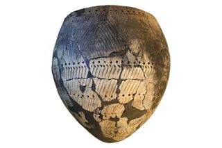 Mesolithic pottery vessel as part of the study of northern and eastern European hunter gatherer fishers