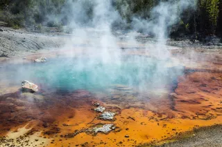 Echinus geyser at Yellowstone National Park activity