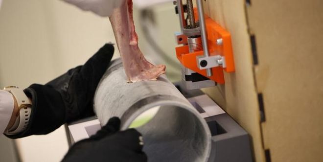 pig tongue stick to frozen pipe