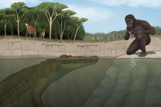 Illustration of a new ancient crocodile species that likely hunted the famous Lucy