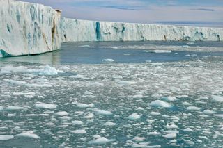 ice melting away from an ice sheet in the Arctic