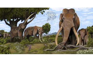 Illustration of several straight-tusked elephants enjoying the day around some trees and greenery