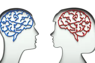 Male Female Brains - Shutterstock