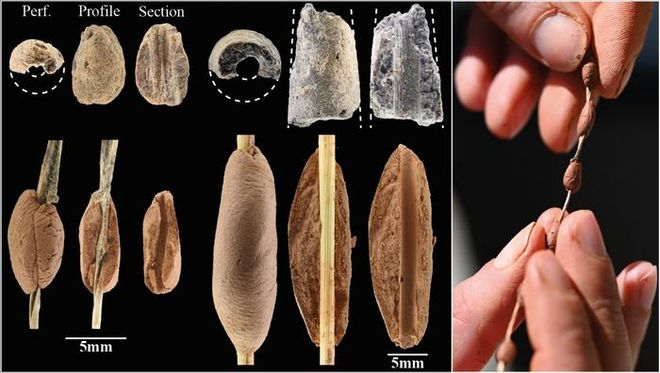 variety of clay bead styles 