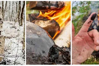 Birch tar used as medicine by Neanderthals 