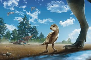 Illustration of new, baby dinosaur named the Doolysaurus