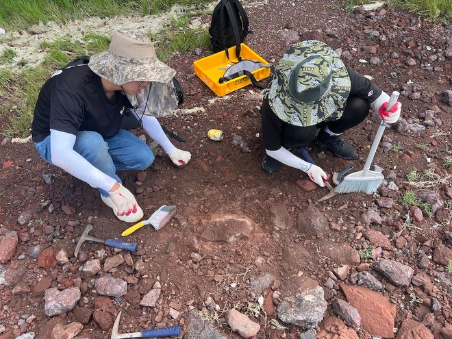 Study authors and the excavation of Doolysaurus
