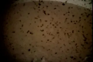 InSight mars photo