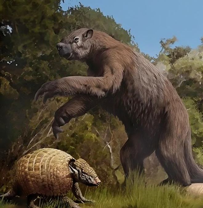 Illustration of a sloth and an armadillo from the last ice age Illustration of a sloth and an armadillo from the last ice age