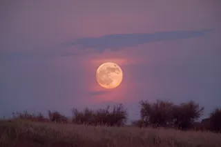 pinkish full moon over a hill 