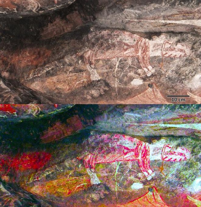 ancient stone drawing of thylacine