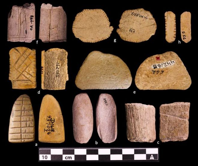 series of bone and stone fragments with carvings represent ancient dice 