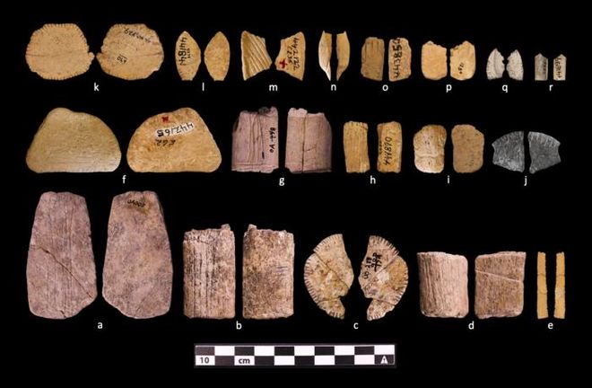 bone and rock fragments with markings 