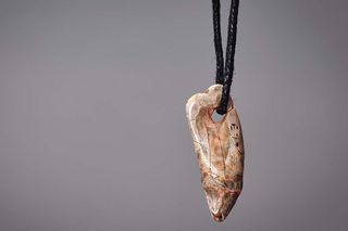 tooth necklace, a seal tooth on a black cord 
