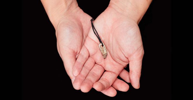 the seal tooth necklace in researcher