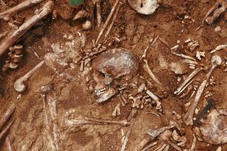 skeletons in an archeological grave site 