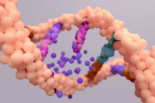 Illustration of a DNA strand or sequence, showing the potential for mutation