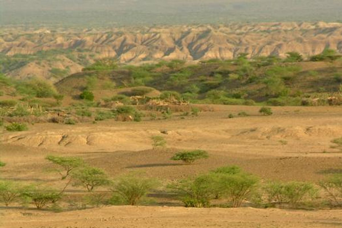 Ethiopia’s Afar Rift Reveals How Humans Lived — and Died — 100,000 ...