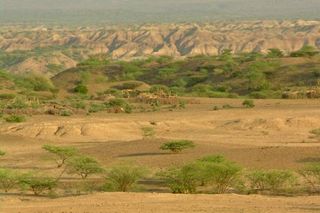 Ethiopia’s Afar Rift Reveals How Humans Lived — and Died — 100,000 ...