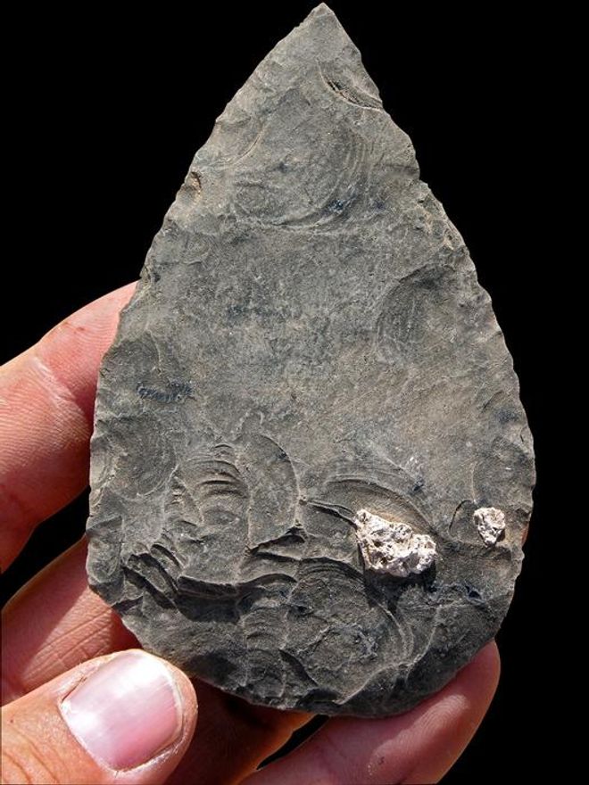 A large black stone spear point A large black stone spear point