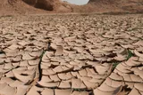 hothouse earth effect, climate change 