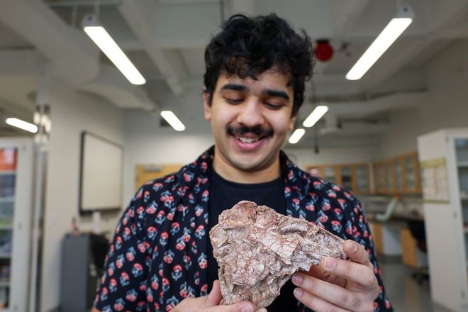A scientist holds the broken skull of a carnivorous dinosaur. A scientist holds the broken skull of a carnivorous dinosaur.