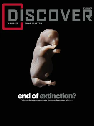Cover of the Spring Issue 2026, including the embryo of a white rhino