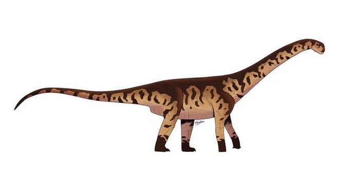 Illustration of Bicharracosaurus dionidei Illustration of Bicharracosaurus dionidei