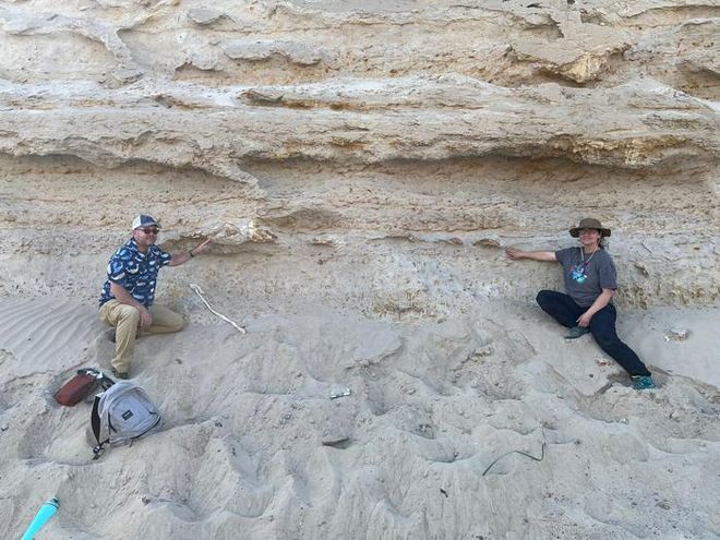 Researchers are examining layers of fossil-rich sediment at the Cerro Ballena whale cemetery site in Chile's Atacama Desert, linked to ancient volcanic activity in the Andes and toxic algae blooms.