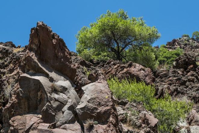 Lava flow rock formations from Methana volcano in Greece with volcanic terrain and vegetation