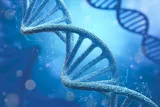 Illustration of a DNA double helix representing genetic regions linked to language in modern humans and Neanderthals