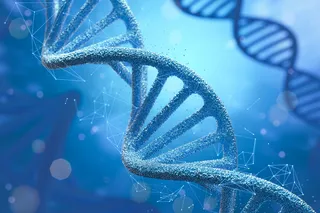 Illustration of a DNA double helix representing genetic regions linked to language in modern humans and Neanderthals