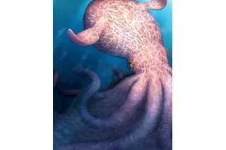 Illustration of kraken-like octopus from the Late Cretaceous