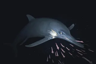 Reconstruction of the Temnodontosaurus cf. trigonodon