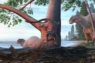 Illustration of a hamster-sized mammal from the age of Dinosaurs
