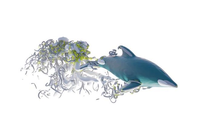dolphin model and swimming vortices dolphin model and swimming vortices