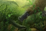 ancient toothed platypus diving to catch a fish 