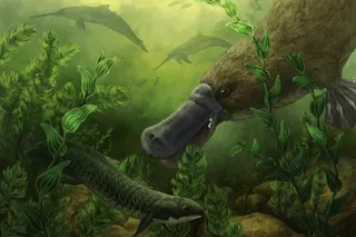 ancient toothed platypus diving to catch a fish 