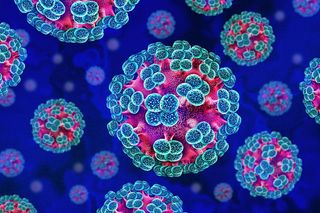 hantavirus