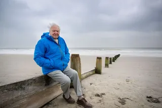 Sir David Attenborough sitting near a beach for the film Ocean with David Attenborough 