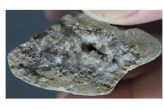 Crystals that grew inside of a bone 
