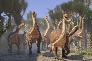 A herd of Plateosaurus