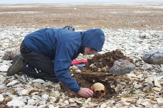 Anthropologist excavates the skeletal remains of a Franklin expedition sailor at Erebus Bay in the Canadian Arctic during research into the HMS Erebus and HMS Terror crews.