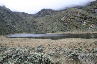 Lake Kopello in Africa’s Rwenzori Mountains, where researchers analyzed sediment cores to reconstruct 12,000 years of wildfire history.