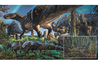 Group of dinosaurs traveling with a small mammal underfoot 